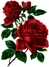 fleurs et nature (40).gif